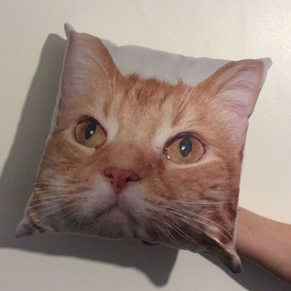 Personalised Pet Photo Cushion - Suede Square